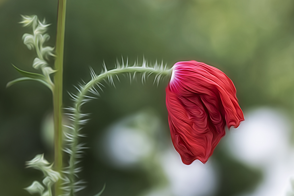 001 Schleswig Holstein Ostsee 09_2015 KA7_3477 als Smartobjekt-1 kopieren.jpg